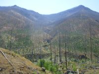 Shoshone River trail